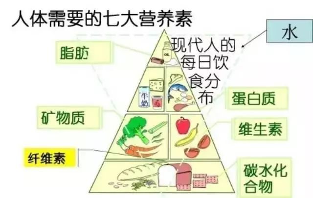 花費3萬塊找營養(yǎng)師咨詢減肥，梳理出的精華內(nèi)容都在這里！減肥必看！